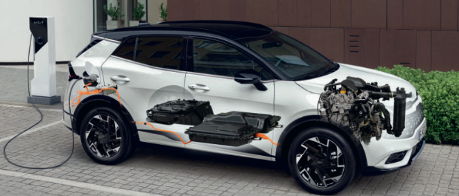 SPORTAGE 1